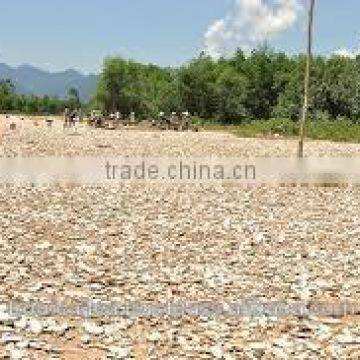 Tapioca chips Vietnam, dried cassava slice with best price and quailty commitment