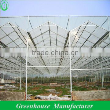 4mm Polycarbonate Greenhouse Anti- high Wind and Snow