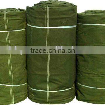 Green Canvas Fabric