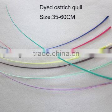 Wholesale and dyed ostrich feather quill