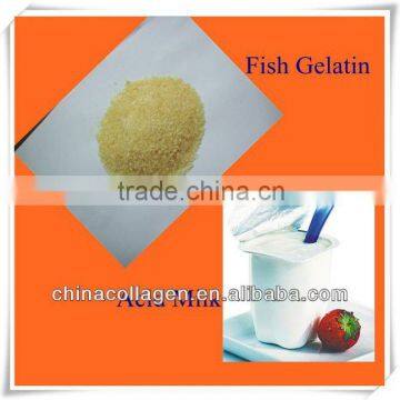fish skin gelatin for yoghurt