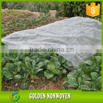 Ali Golden Trade Agriculture Nonwoven Waterproof Ground Cover photo-4
