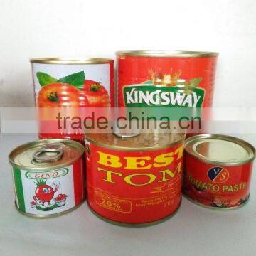 china supplier ,supply tomato paste with customer's logo