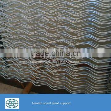Glavanized Steel Bar Tomato Spiral Support Rod for Plant Climbing photo-3