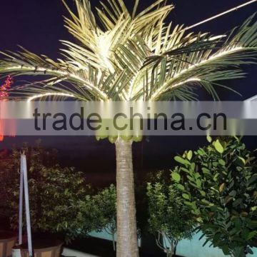 4m Outdoor Led Palm Tree Light