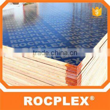 Polypropylene PP Plastic Recycled Plastic Shutter ply Board