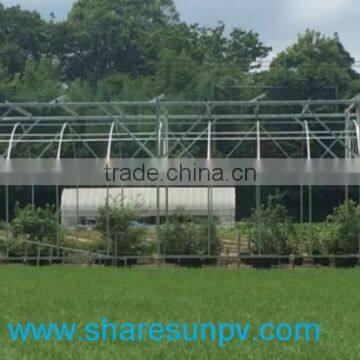 Solar Greenhouse for Agricultural Solar Mounting System photo-4