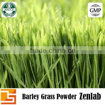 top quality barley grass organic for barley grass tablet