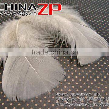 CHINAZP Good Quality Plumage Wholesale Dyed Ivory Turkey T-Base Body Feathers for Sale photo-3