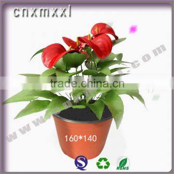 plastic greehouse soft flower pot