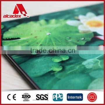 Decoration UV Panel/custom Print Aluminium Composite Plates/acp photo-5
