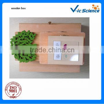 Strong and beauty wooden box for prepared slides