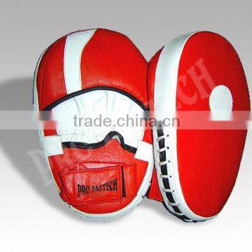 Punching Mitt