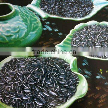 Raw Sunflower Seeds