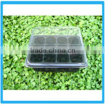 Top Sales Modern Seedling Box