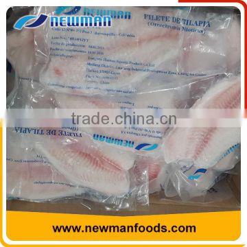 Custom vacuum pack skinless frozen tilapia cheap frozen tilapia fillet price