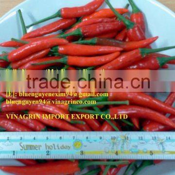 VIETNAM FRESH CHILLI