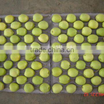 Year 2014 Shandong Pears