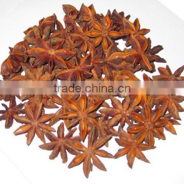 star aniseed