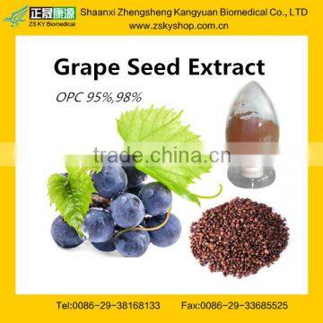 Professional Factory Sale Water Soluble Grape Seed Extract