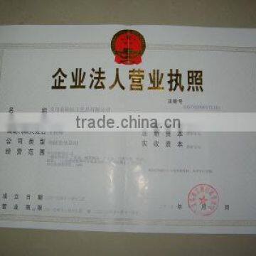 Business License