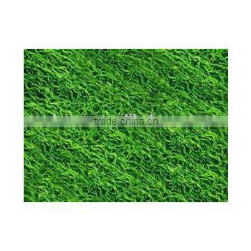 Spirulina Platensis Tablets photo-4