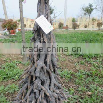Wicker Christmas Tree