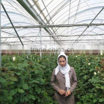 Commercial Greenhouse Plans photo-2