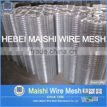 Bird Cage Galvanzied Welded Wire Mesh photo-4