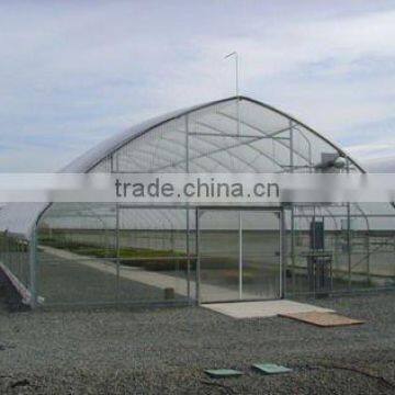 Gothic Arch Greenhouses Plastic Greenhouse Film