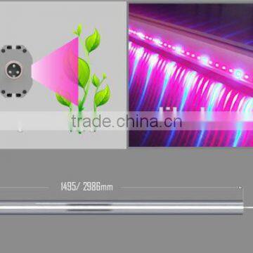 Vanq interlighting 150W LED grow light bar for strawberry seeds