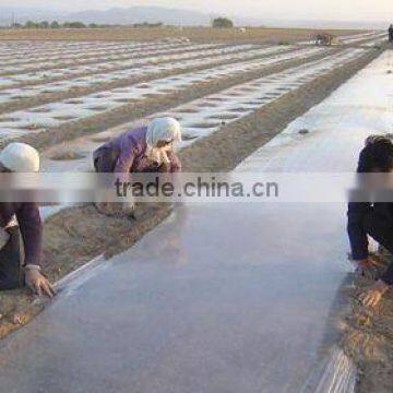 PE mulching film for agriculture