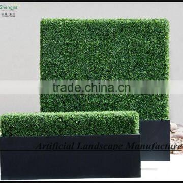 SAS016013 Plastic Cheap Artificial Boxwood Hedge photo-5
