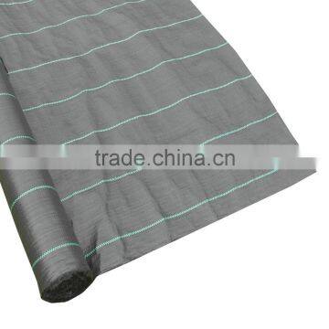 PP Ground Cover Non Woven Polypropylene Fabric photo-5