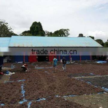 Sell Gracilaria, Eucheuma Spinosum And Eucheuma Cottoni Seaweed photo-2