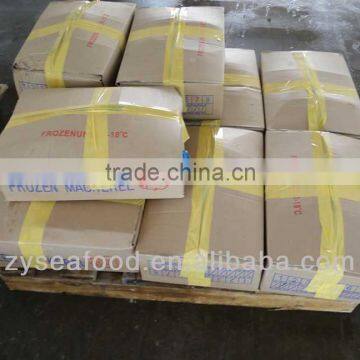 Frozen Pacific Mackerel Fish 200-300G photo-3