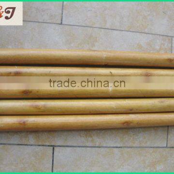 Varnished Wooden Spade Handle photo-3