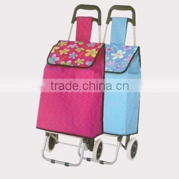 new style foldable board trolley bags