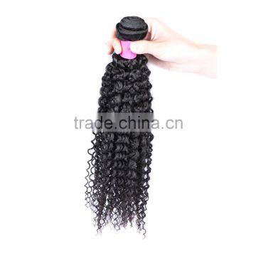 Wholesale Virgin Hair Vendors Fast Shipping Malaysian Curly Hair photo-6