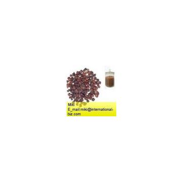 Schisandra Berry Extract