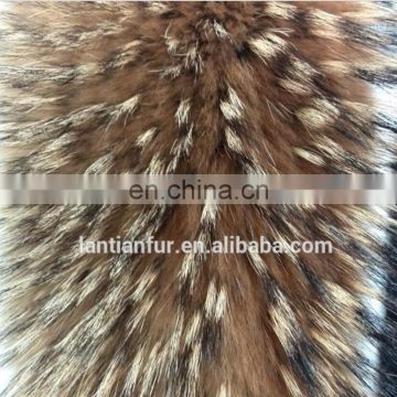 Raccoon Large Fur Collar / fur Trim for Winter Coat/Parka winter