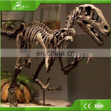 Sichuan OEM Raptor Skeleton Replica for Playground photo-4