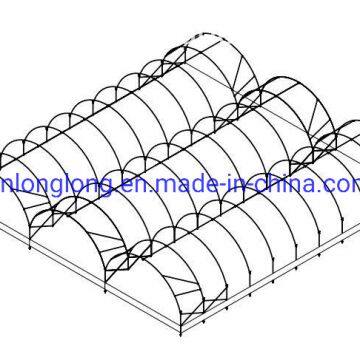 Simple and Long Lifetime Tunnel Greenhouse for Vegetables photo-2