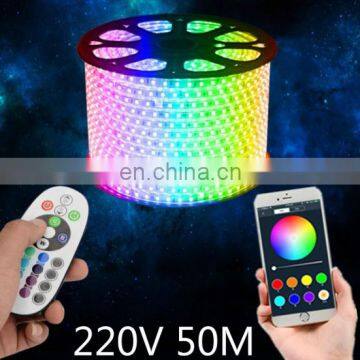110V 220V LED Tape RGB Strip Light With Wifi Controller