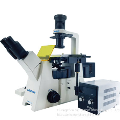 Inverted fluorescence microscope MF53-N