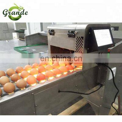 Grande Best Selling High Efficiency Automatic Egg Electric Sorting Machine photo-5