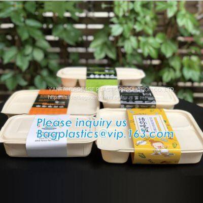 Corn Starch Bio-based Disposable Lunch Box, Corn Starch Disposable Food Container, Disposable Tableware Lunch Box photo-2
