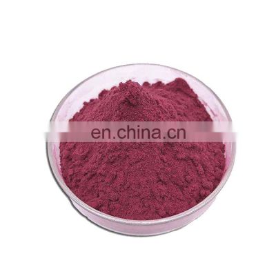 Hight Quality Black Currant Extract Powder 5% 15% 25% Anthocyanidins Black Currant P.E