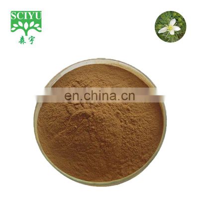 Factory supply pure peganum 98% harmine harmala extract Powder