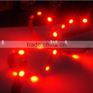 Eproxy Coat + PE Cannula / Waterproof 480 LED 3528 flexible Strip light